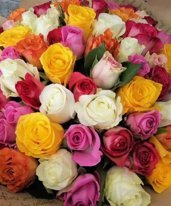 Mixed Roses