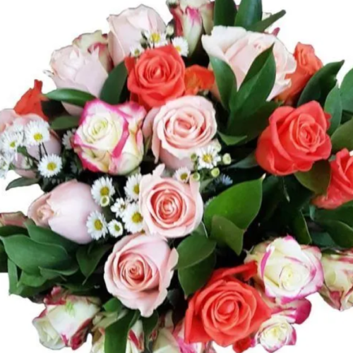 Mixed Roses dozen bouquet