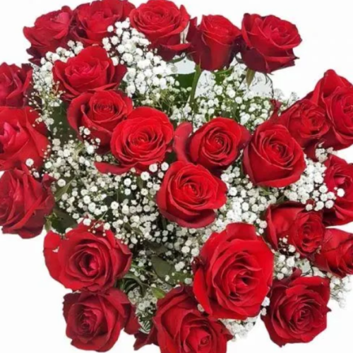 24 Red Roses