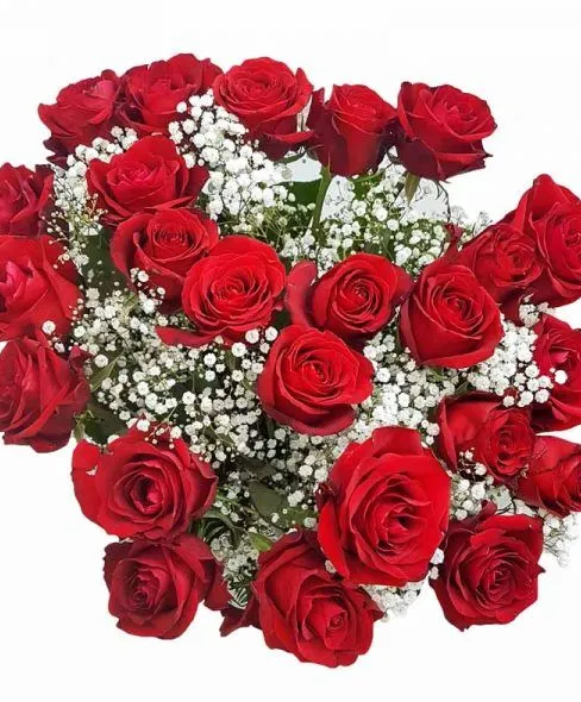 24 Red Roses